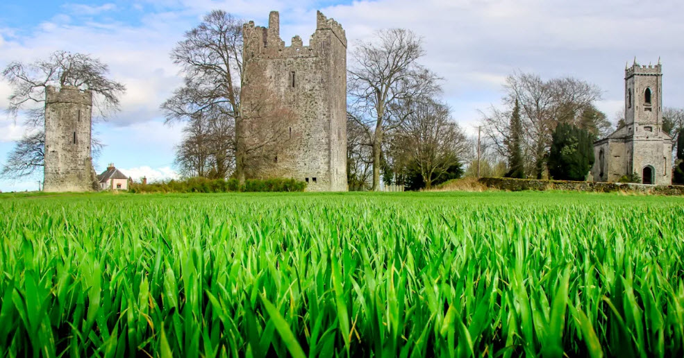 Burnchurch Castle, Ireland